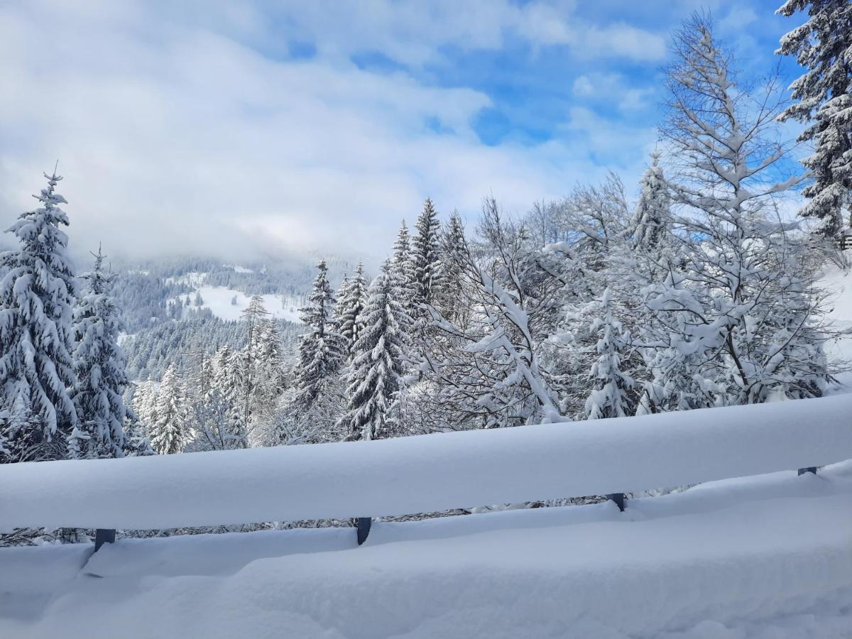 Appartamento Steinhof Gries Esterno foto