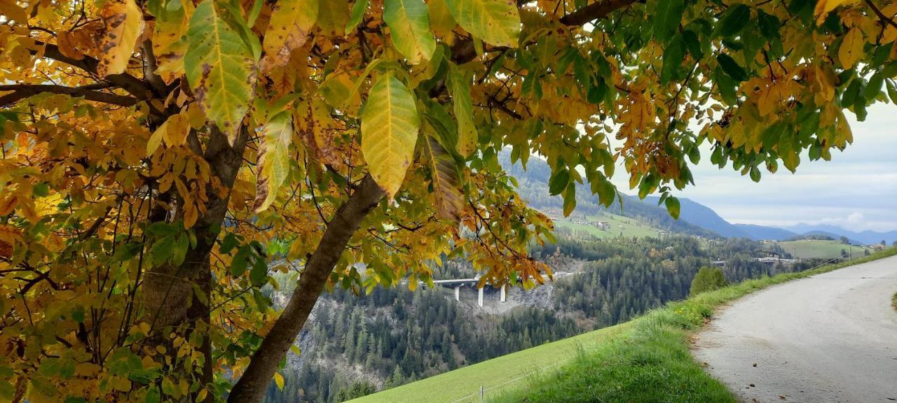 Appartamento Steinhof Gries Esterno foto